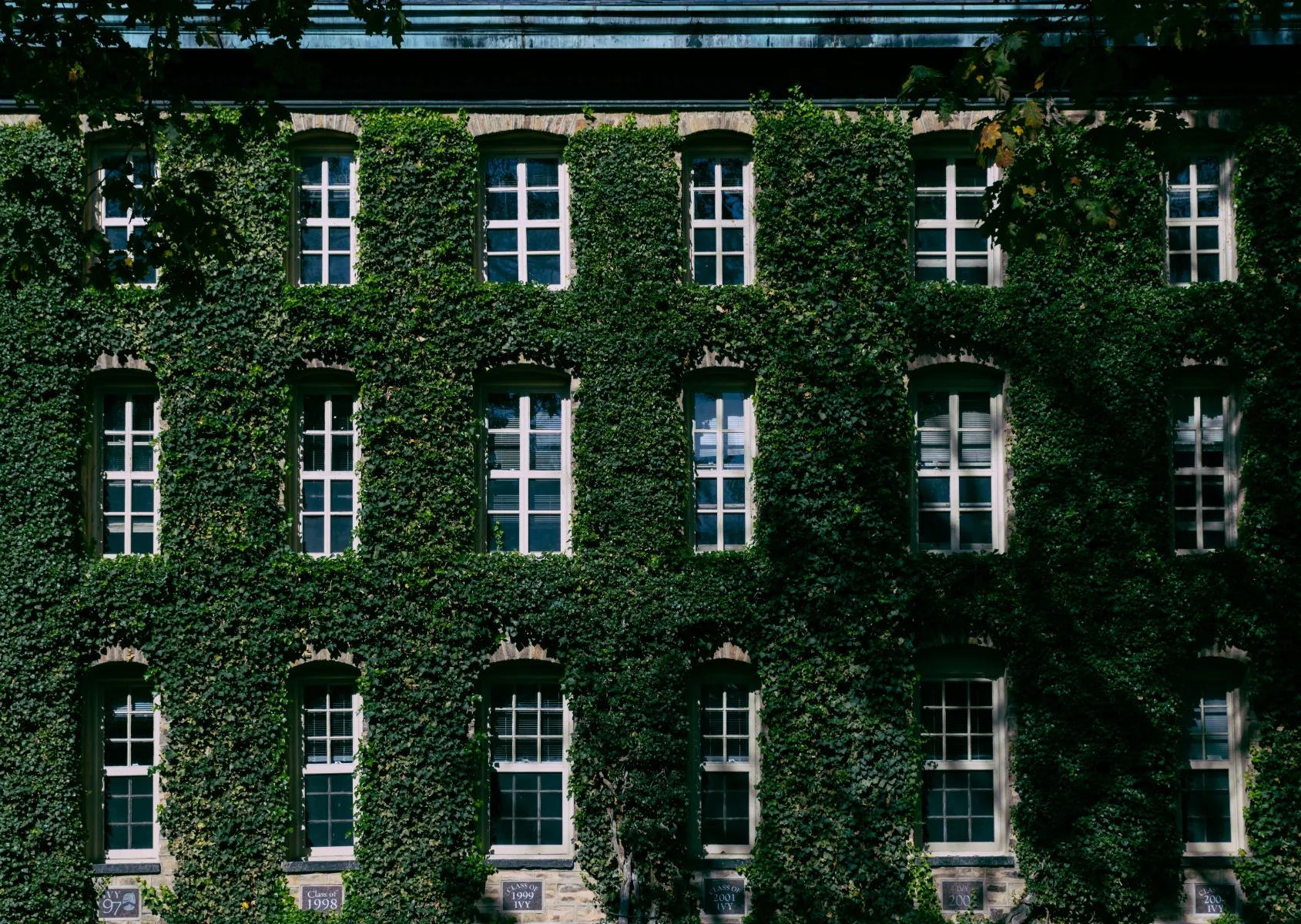 10 Biggest Mistakes Academia Graduates Make